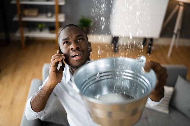 Best Water damage restoration insurance claims  in Allegan, MI