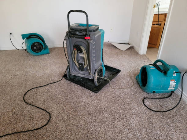 Best Sewage cleanup and water damage restoration  in Allegan, MI