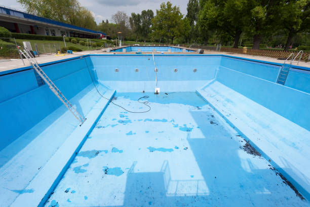 Best Basement water damage restoration  in Allegan, MI