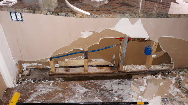 Best 24-hour water damage restoration  in Allegan, MI