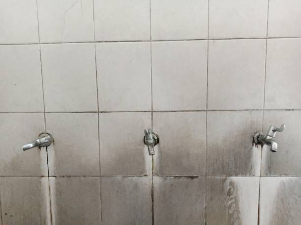 Best Flood damage cleanup  in Allegan, MI
