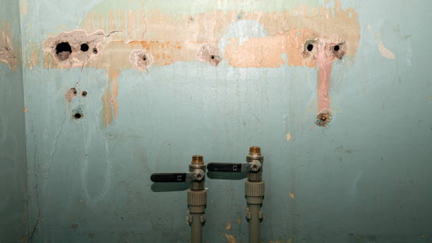 Best Residential water damage restoration  in Allegan, MI