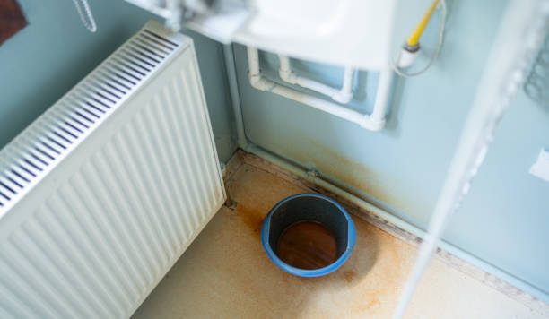 Best Local water damage restoration  in Allegan, MI