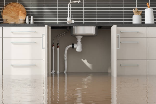 Best Flooded house restoration  in Allegan, MI