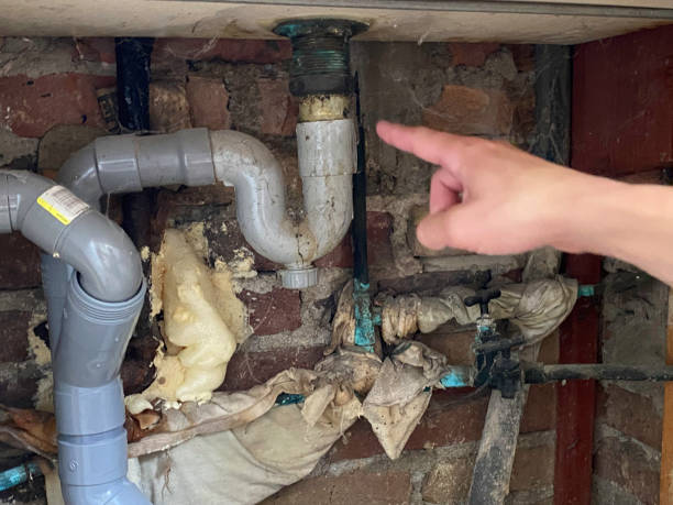 Best Fire Damage Restoration  in Allegan, MI